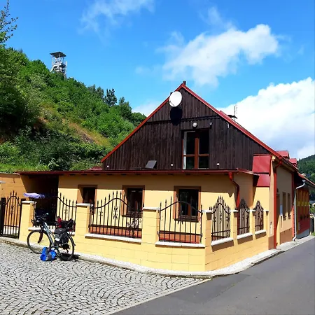 V Domecku *